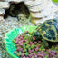 Happy Pet Voerbak Green Leaf Groen