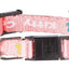 Trixie Halsband Kat Junior Kitten Kitty Cat Assorti