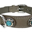 Sazzz Halsband Hond Adventure Stone Classic Leer Taupe